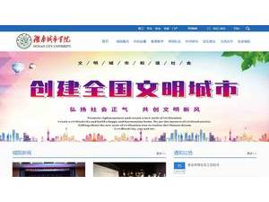Hunan City University's Website Screenshot