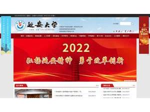 Yan'an University's Website Screenshot
