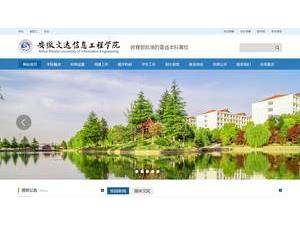 Anhui Wonder University of Information Engineering's Website Screenshot