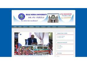 Bule Hora University's Website Screenshot