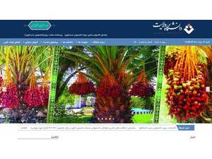 Velayat University's Website Screenshot