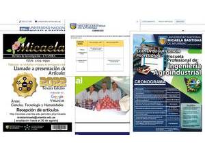 National University Micaela Bastidas of Apurimac's Website Screenshot