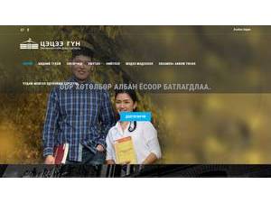 Tsetsee Goun Institute of Management's Website Screenshot