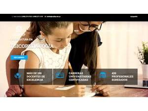 Instituto Universitario Centro de Docencia, Investigación e Información en Aprendizaje's Website Screenshot
