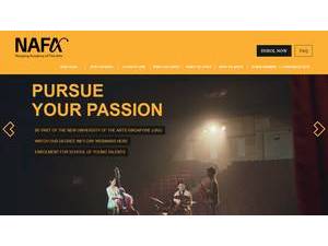 Nanyang Academy of Fine Arts's Website Screenshot