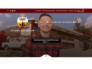 National Autonomous University of Tayacaja's Website Screenshot