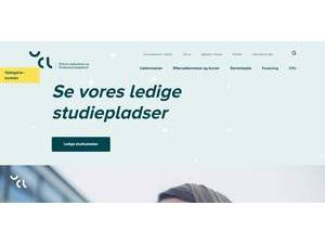 University College Lillebaelt's Website Screenshot