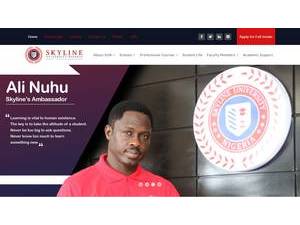 Skyline University Nigeria's Website Screenshot