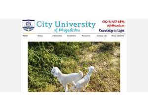 City University of Mogadishu's Website Screenshot