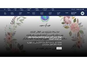كلية النسور الجامعة's Website Screenshot