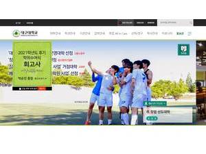 Daegu University's Website Screenshot
