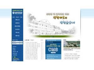 Nambu University's Website Screenshot